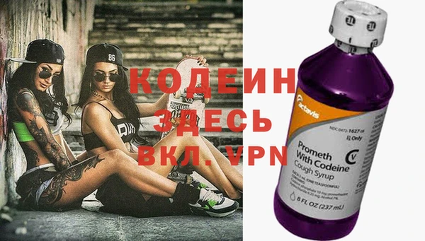 мяу мяу кристалл Гусь-Хрустальный