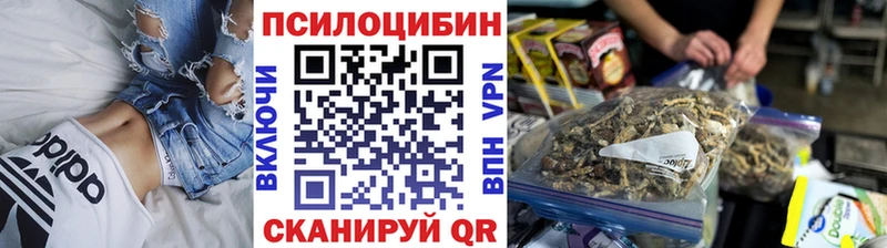 Галлюциногенные грибы мухоморы  Озёры 